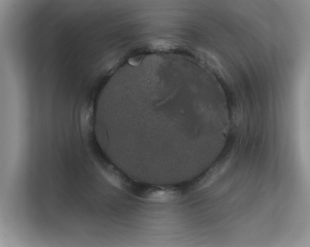 X0000111520364200907211229