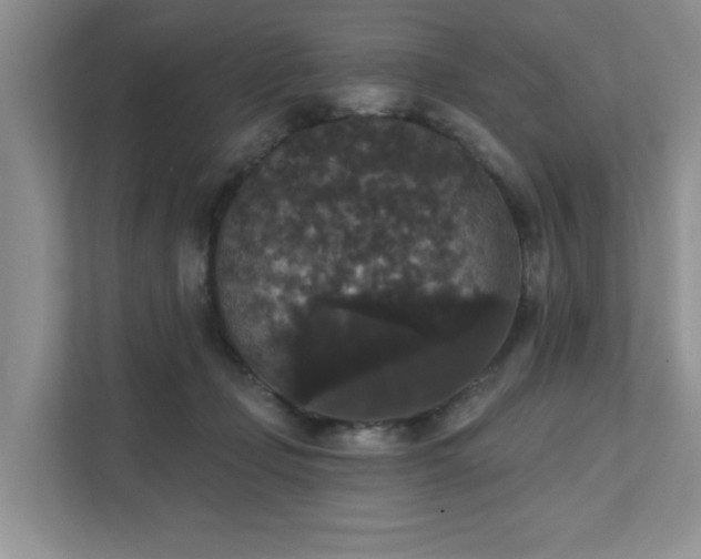 X0000111520365200907211229