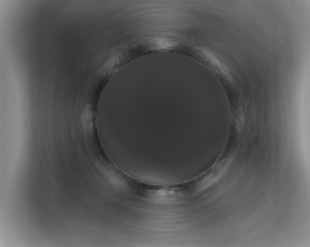 X0000111520366200907211229