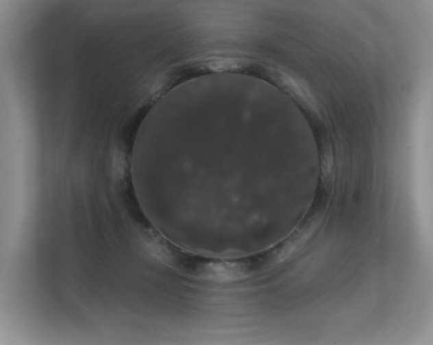 X0000111520367200907211229