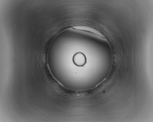 X0000111520368200907211229