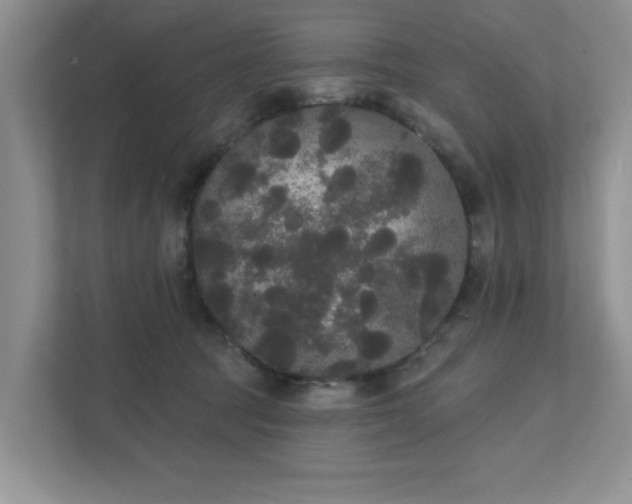 X0000111520369200907211229