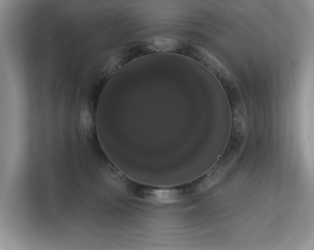 X0000111520371200907211229