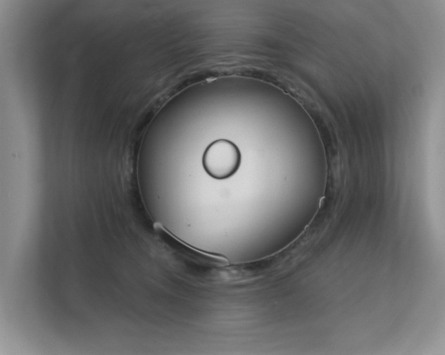 X0000111520372200907211229