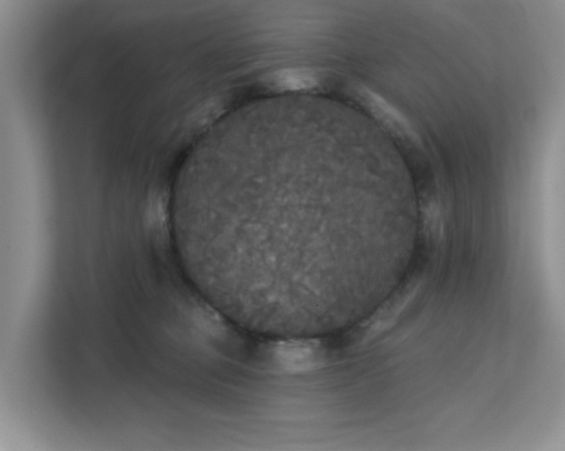 X0000111520373200907211229