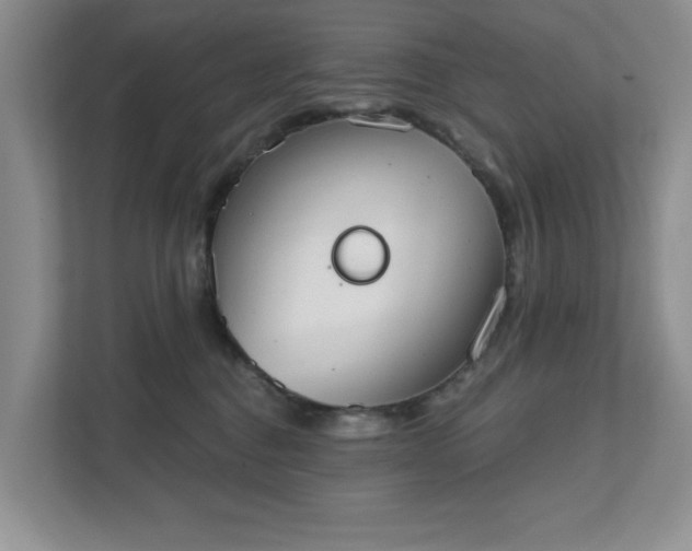 X0000111520376200907211229