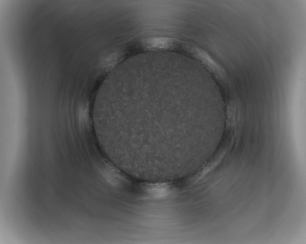 X0000111520377200907211229