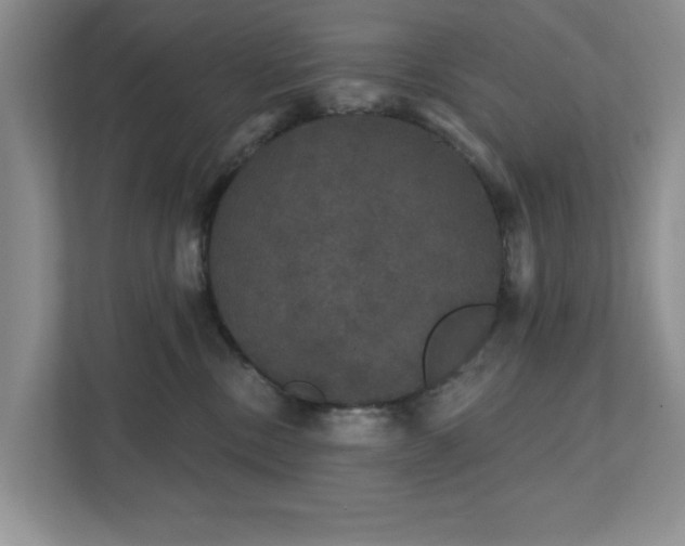 X0000111520378200907211229