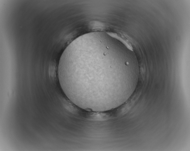 X0000111520379200907211229