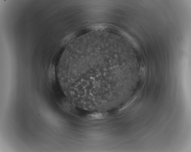 X0000111520381200907211229