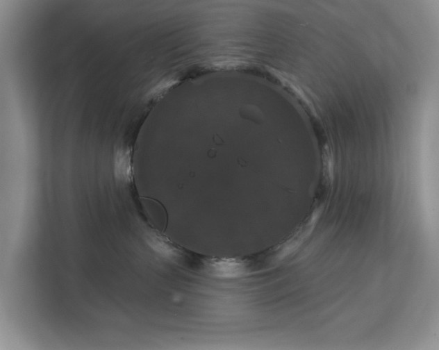 X0000111520383200907211229