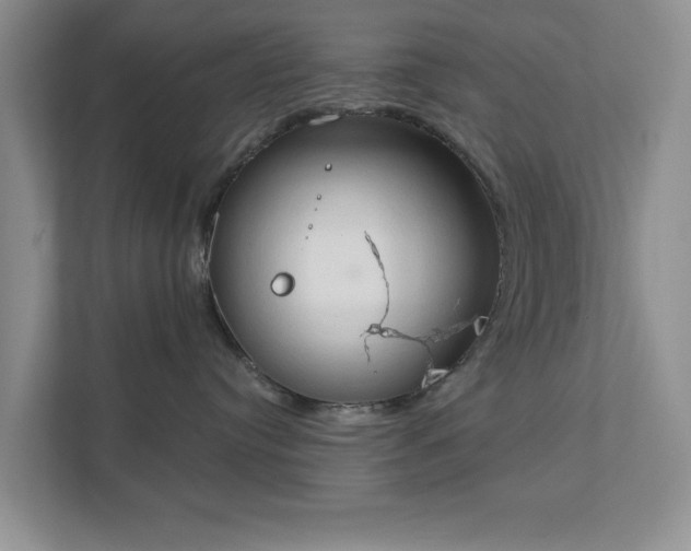 X0000111520384200907211229