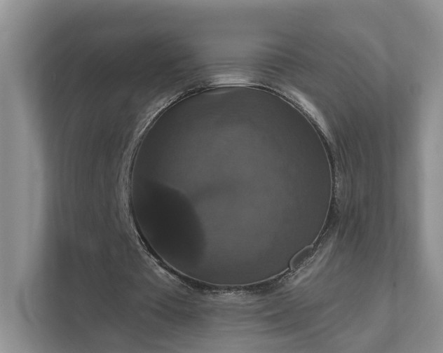 X0000111520385200907211228