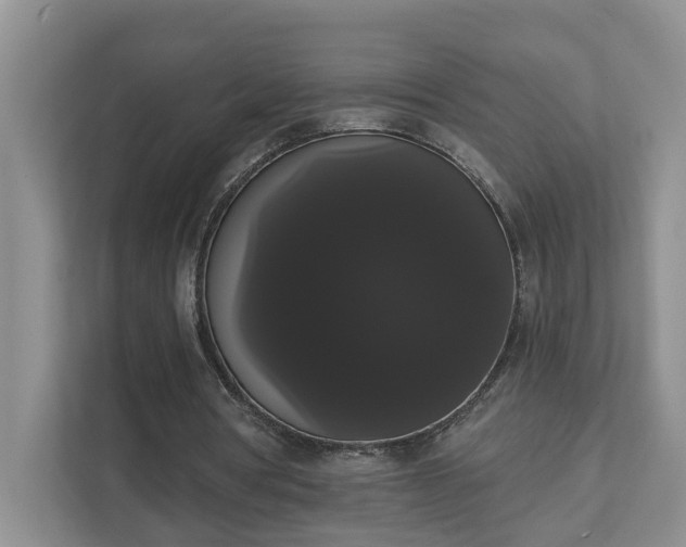 X0000111520386200907211228