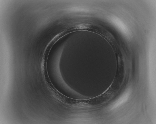 X0000111520387200907211228