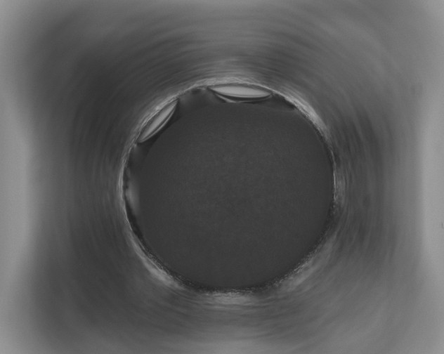 X0000111520389200907211228