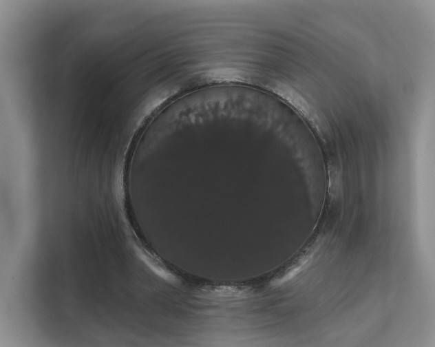X0000111520390200907211228