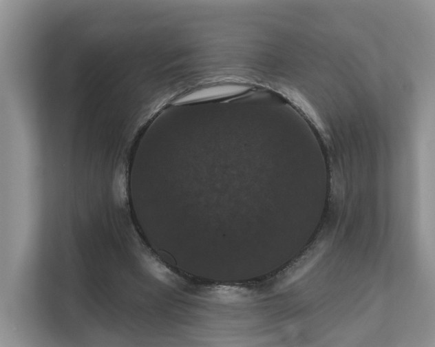 X0000111520393200907211228