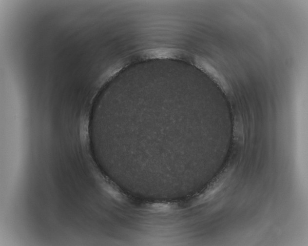 X0000111520394200907211228