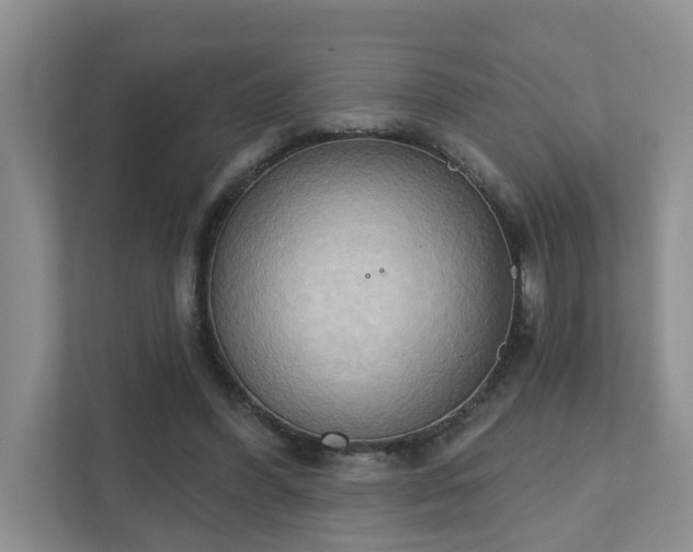 X0000111520396200907211228