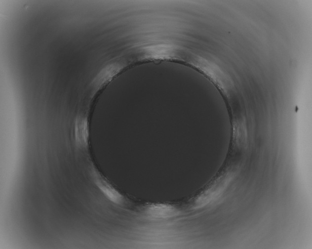 X0000111520397200907211228