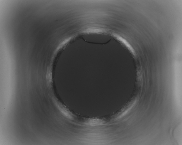 X0000111520399200907211228