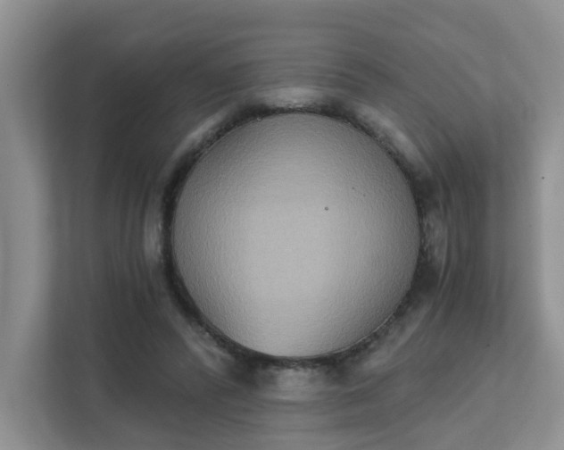 X0000111520400200907211228