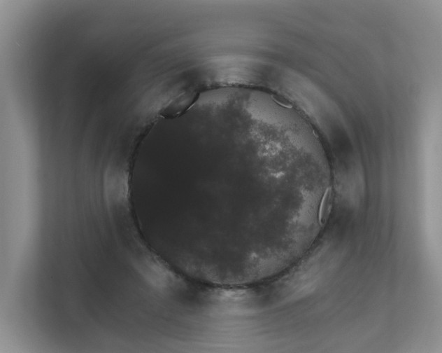 X0000111520401200907211228