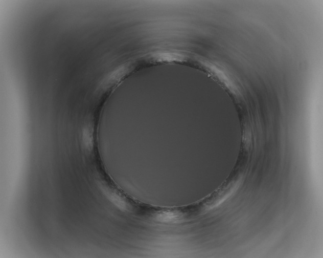 X0000111520402200907211228