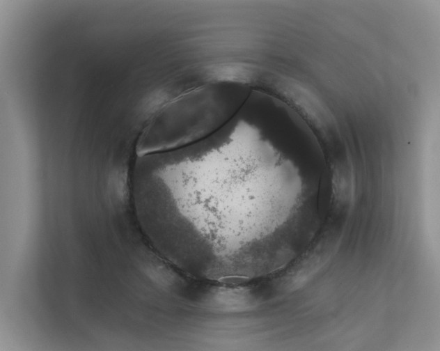X0000111520403200907211228