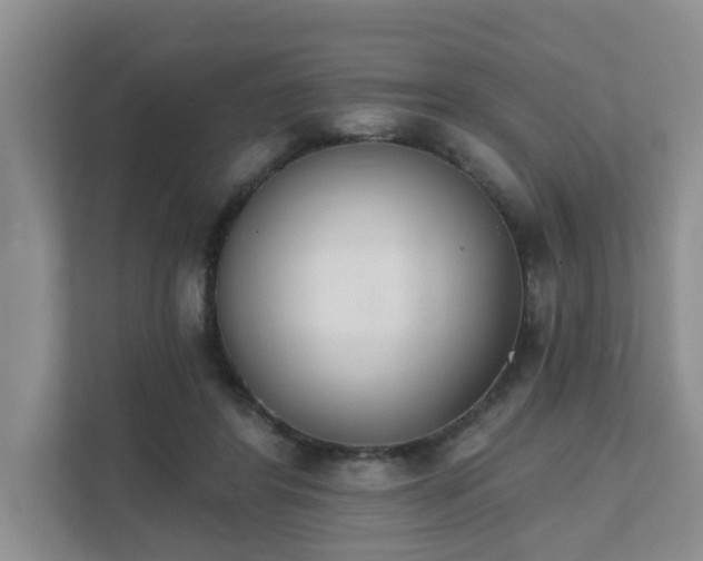 X0000111520404200907211228