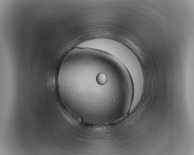X0000111520405200907211228