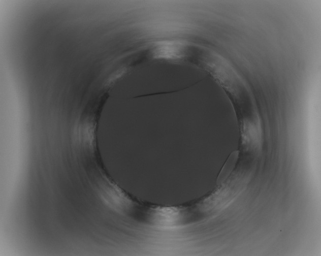 X0000111520409200907211228
