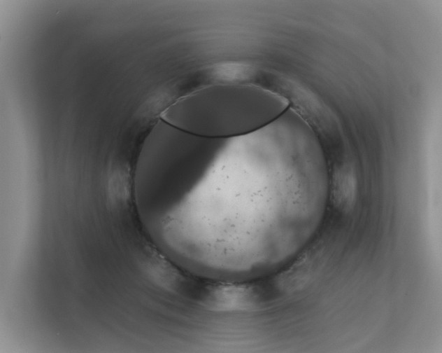 X0000111520413200907211228