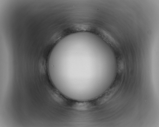 X0000111520414200907211228