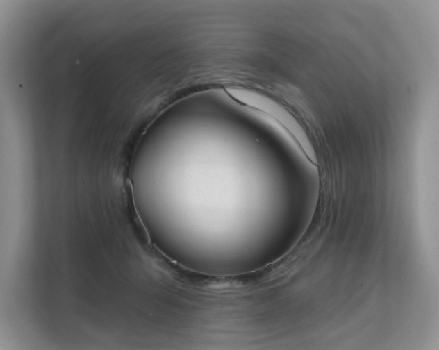 X0000111520415200907211228