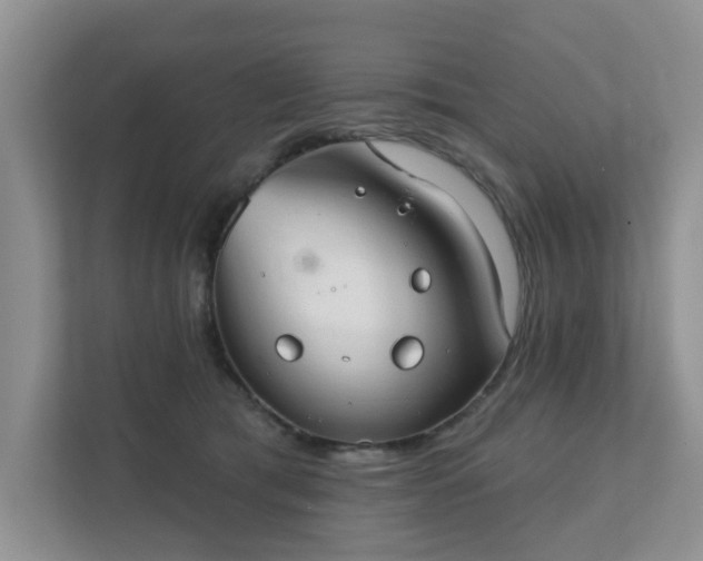 X0000111520417200907211228