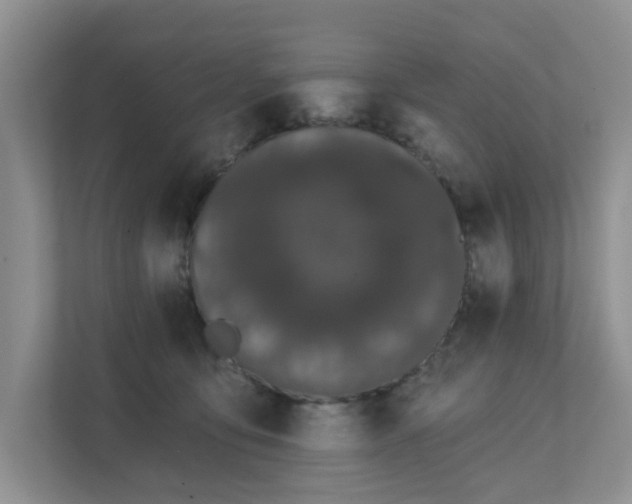 X0000111520419200907211228