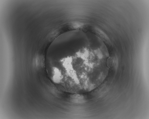 X0000111520421200907211228