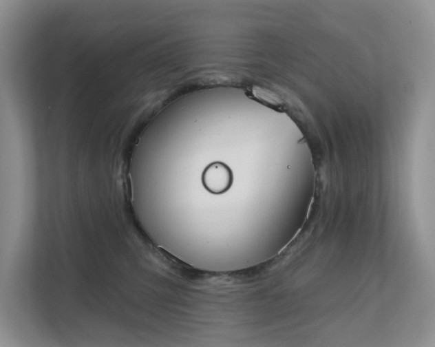 X0000111520423200907211228