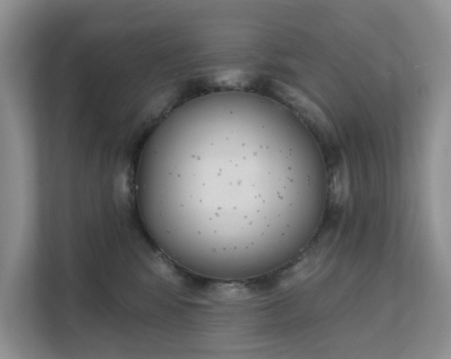 X0000111520424200907211228
