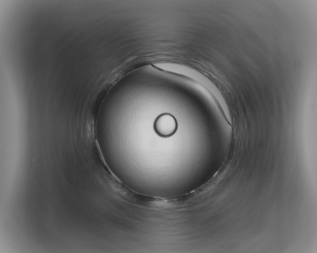 X0000111520425200907211228