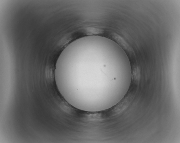 X0000111520426200907211228