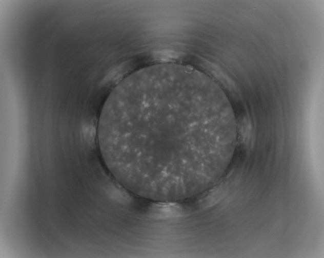 X0000111520427200907211228