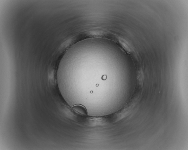 X0000111520428200907211228
