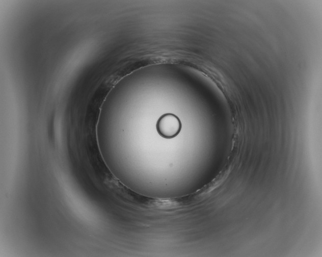 X0000111520429200907211228