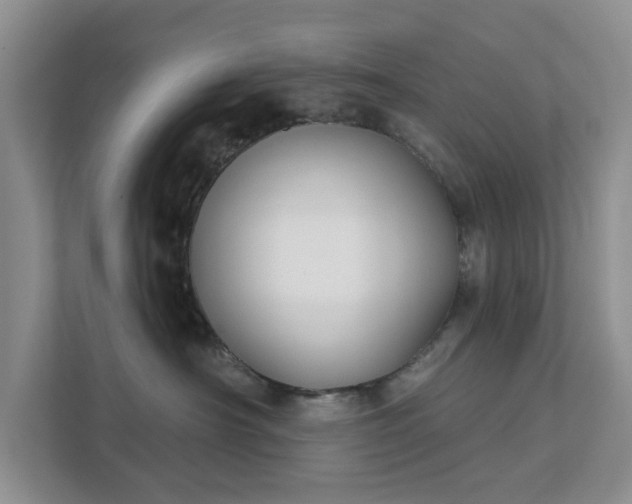 X0000111520430200907211228