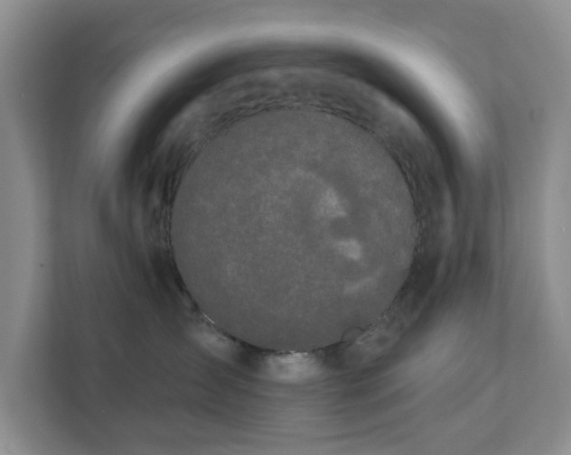 X0000111520431200907211228