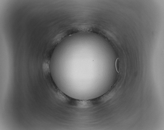 X0000111520432200907211228