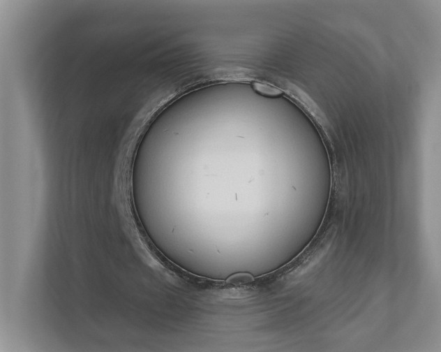 X0000111520433200907211227